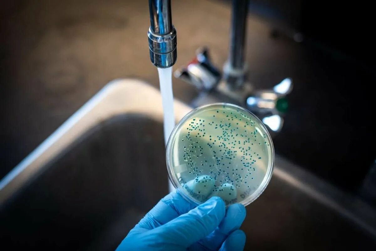 Warm water bevat veel bacteriën