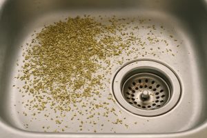 De reden waarom oregano effectief zou zijn om de afvoer schoon te houden